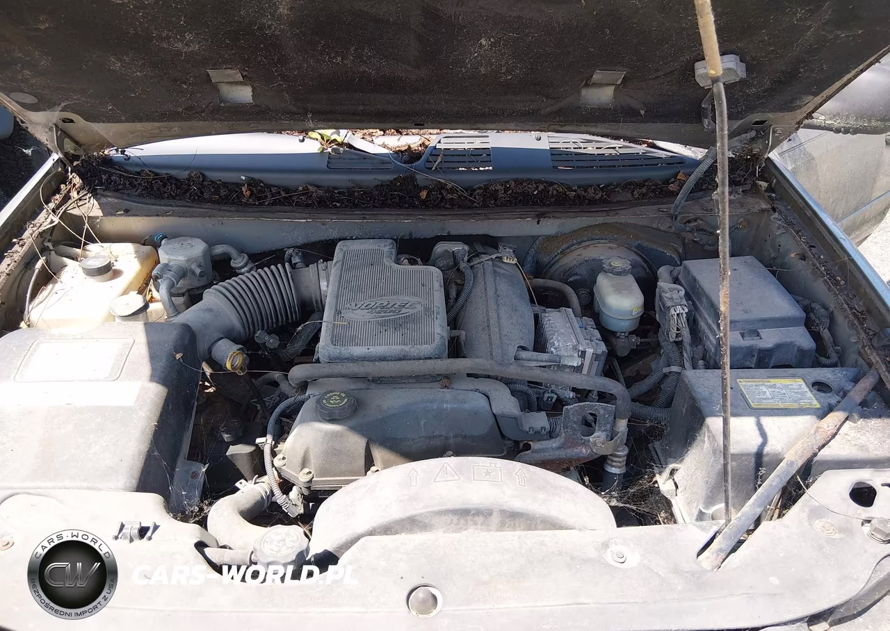 2002 Chevrolet Trailblazer Ls VIN:1GNDT13S722368539 - 10