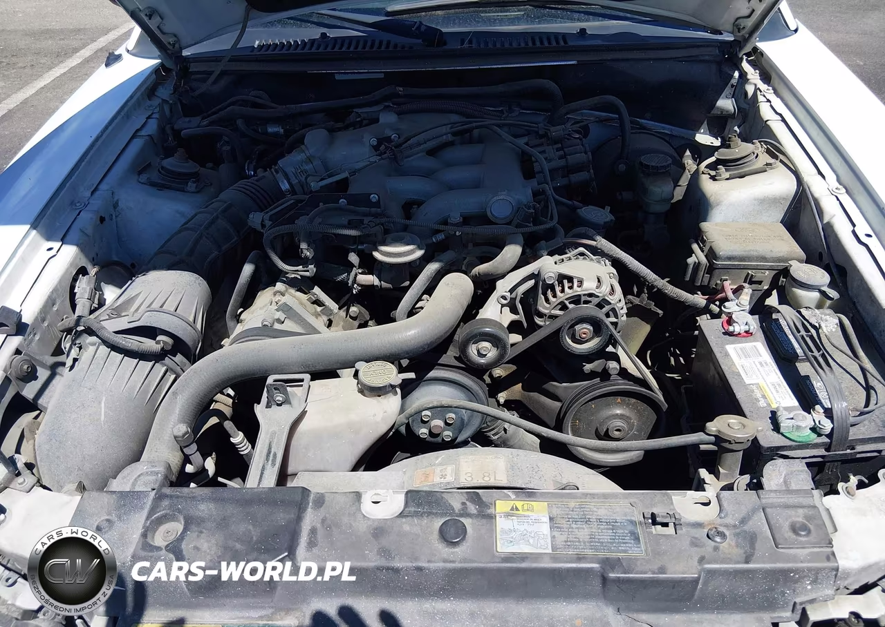 2003 Ford Mustang VIN:1FAFP44453F379756 - 10