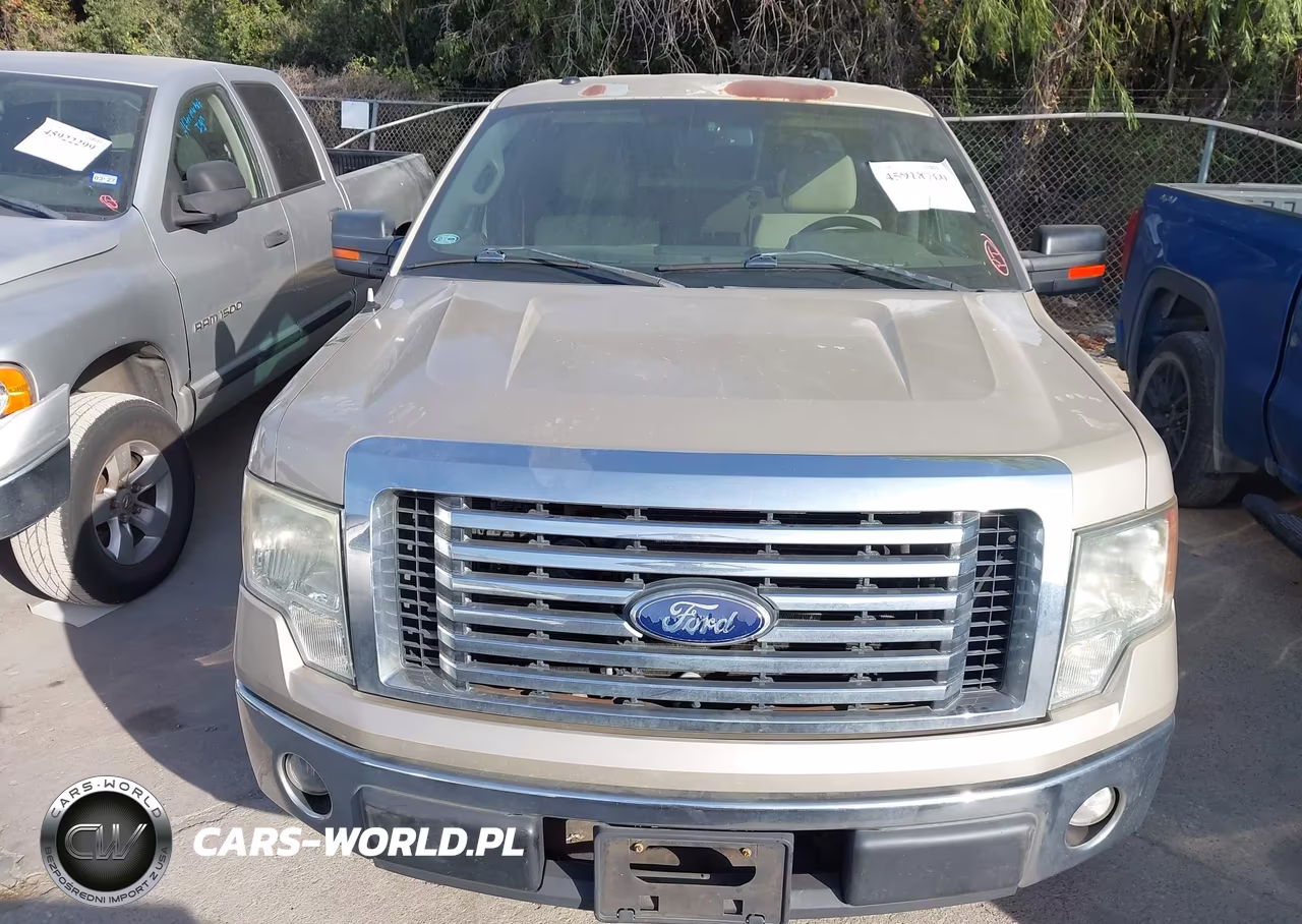 2010 Ford F-150 Fx2 Sport-Xl-Xlt VIN:1FTEW1C82AKA75963 - 12