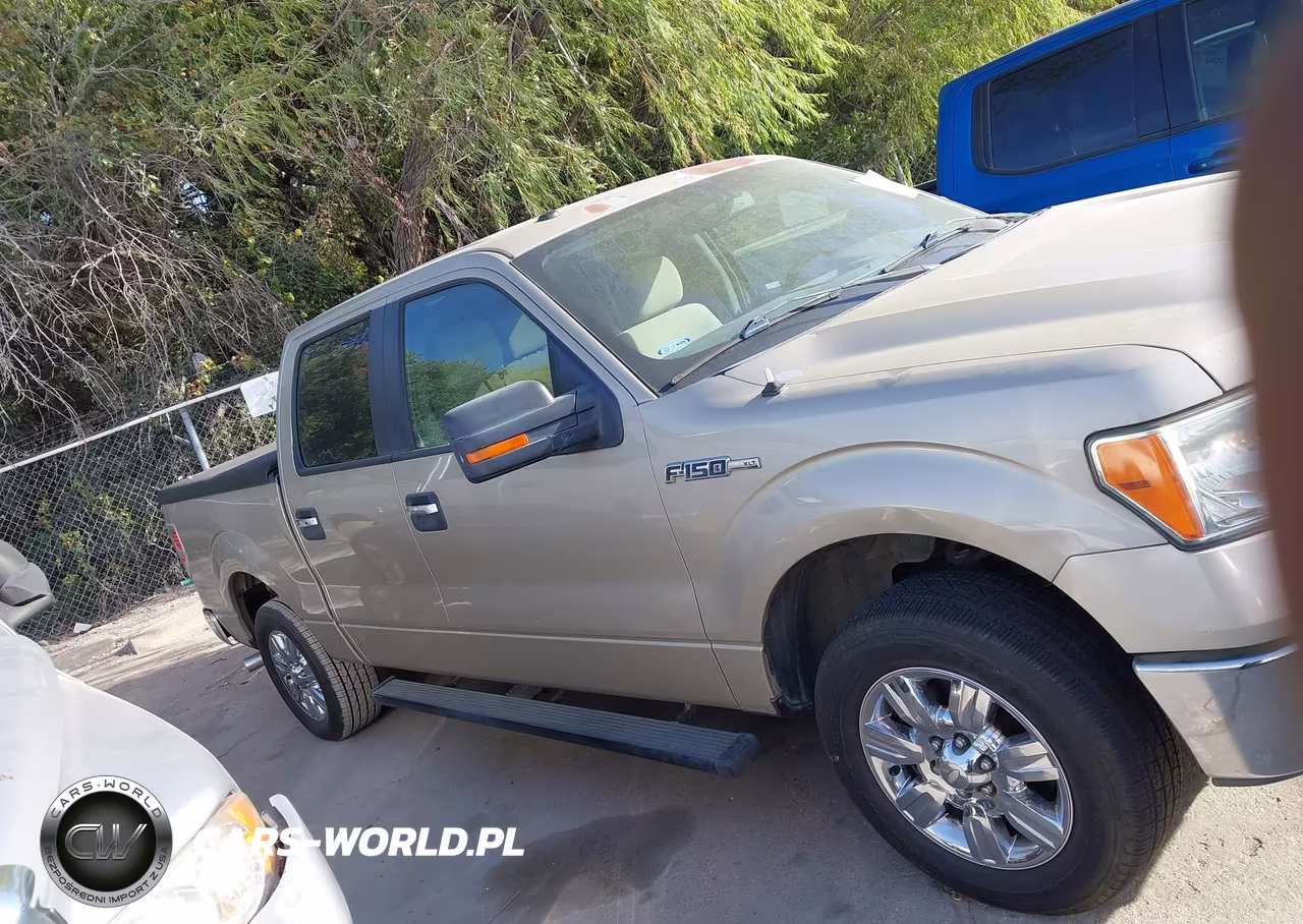 2010 Ford F-150 Fx2 Sport-Xl-Xlt VIN:1FTEW1C82AKA75963 - 13