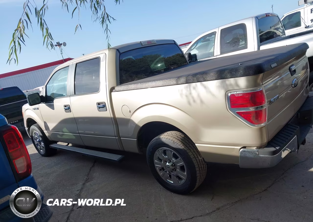 2010 Ford F-150 Fx2 Sport-Xl-Xlt VIN:1FTEW1C82AKA75963 - 14