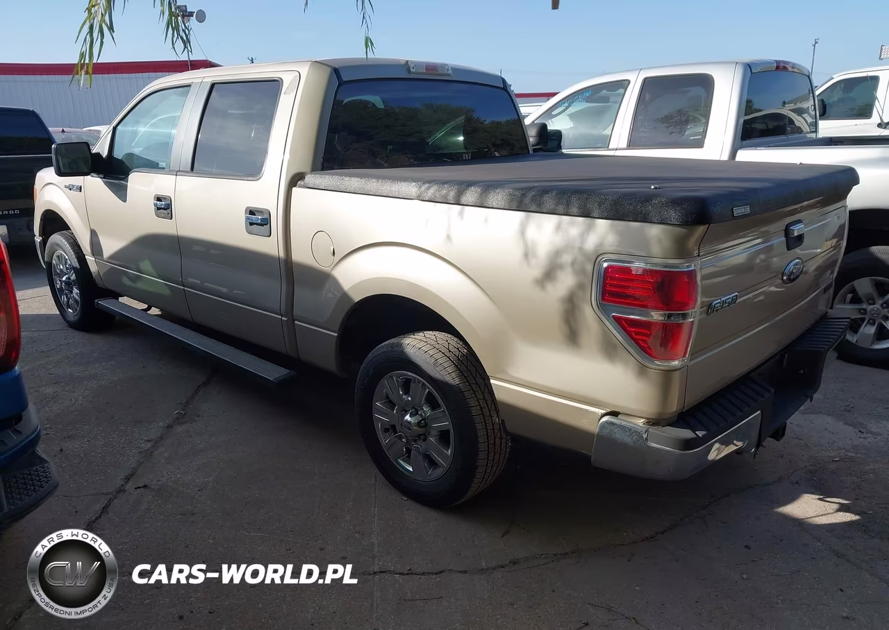 2010 Ford F-150 Fx2 Sport-Xl-Xlt VIN:1FTEW1C82AKA75963 - 3