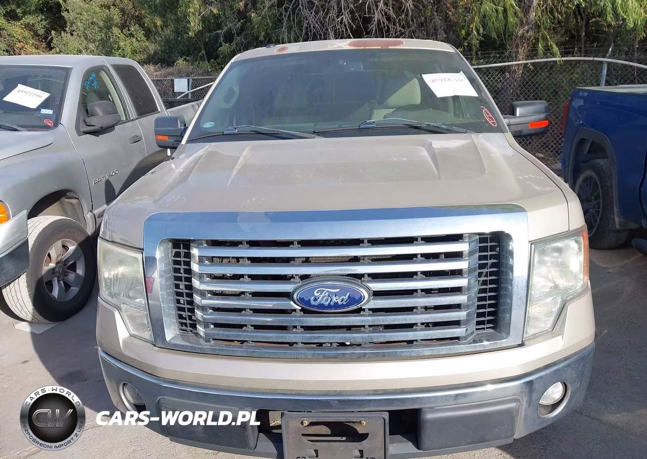 2010 Ford F-150 Fx2 Sport-Xl-Xlt VIN:1FTEW1C82AKA75963 - 6