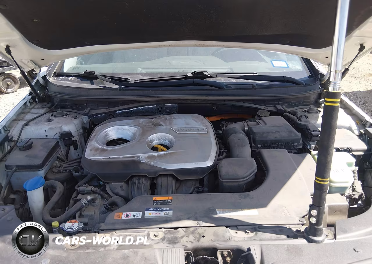 2017 Hyundai Sonata Plug-In Hybrid VIN:KMHE14L20HA044993 - 10