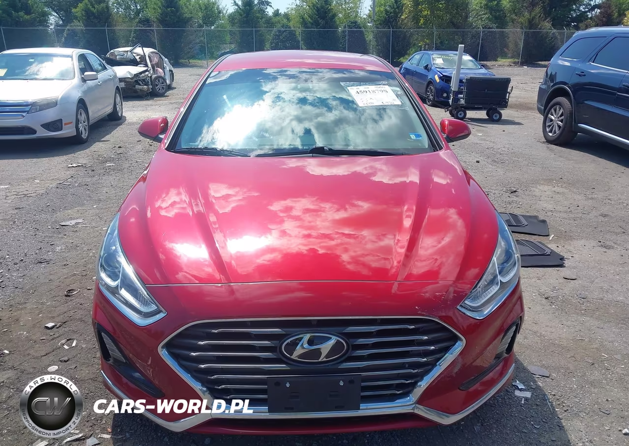 2019 Hyundai Sonata Se VIN:5NPE24AF6KH732701 - 12