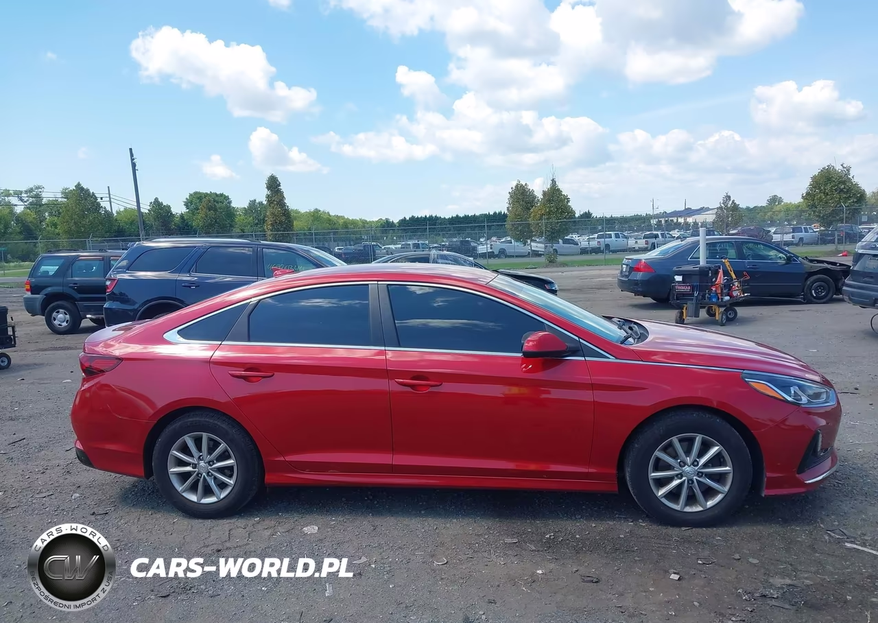 2019 Hyundai Sonata Se VIN:5NPE24AF6KH732701 - 13
