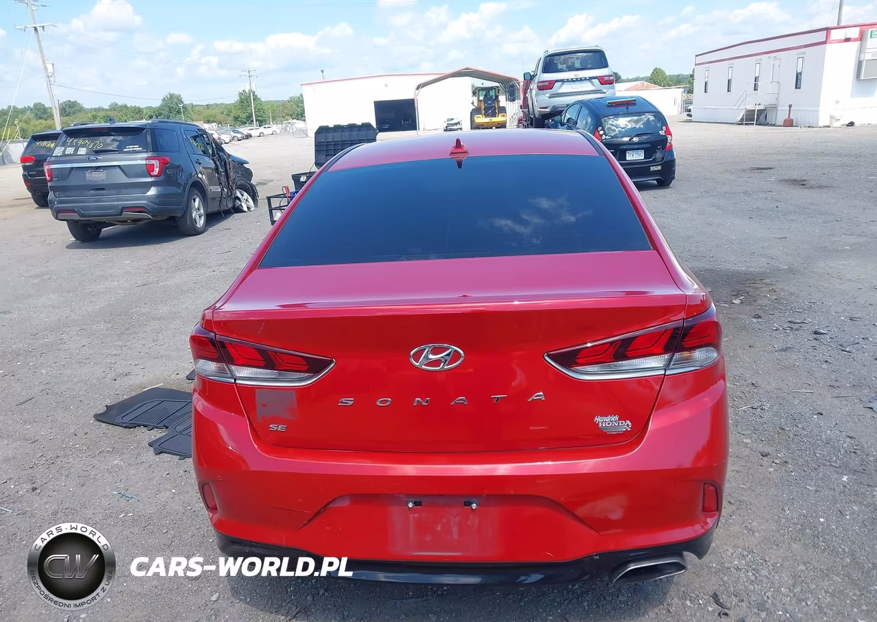 2019 Hyundai Sonata Se VIN:5NPE24AF6KH732701 - 16
