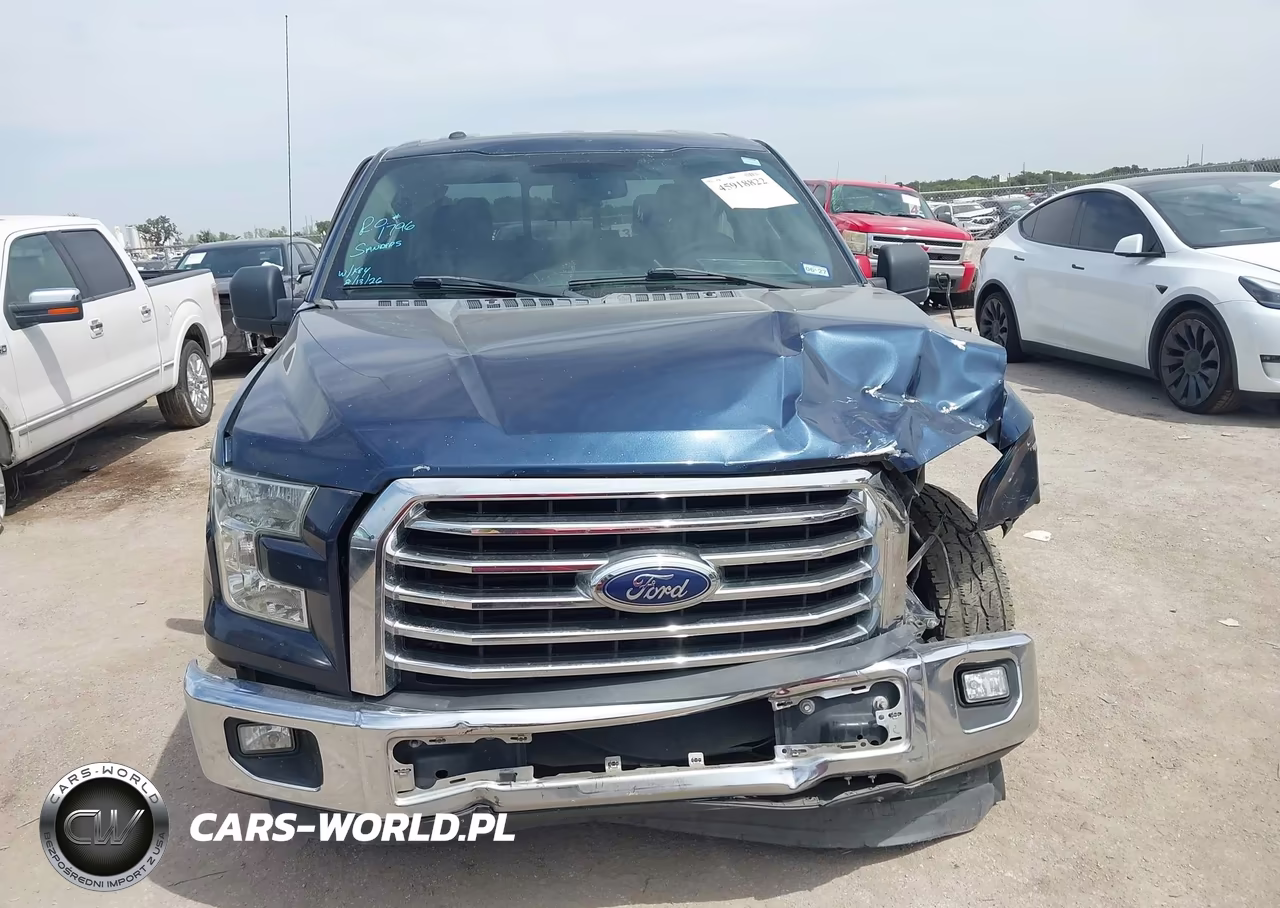 2015 Ford F-150 Xlt VIN:1FTEW1CF5FKD04464 - 12