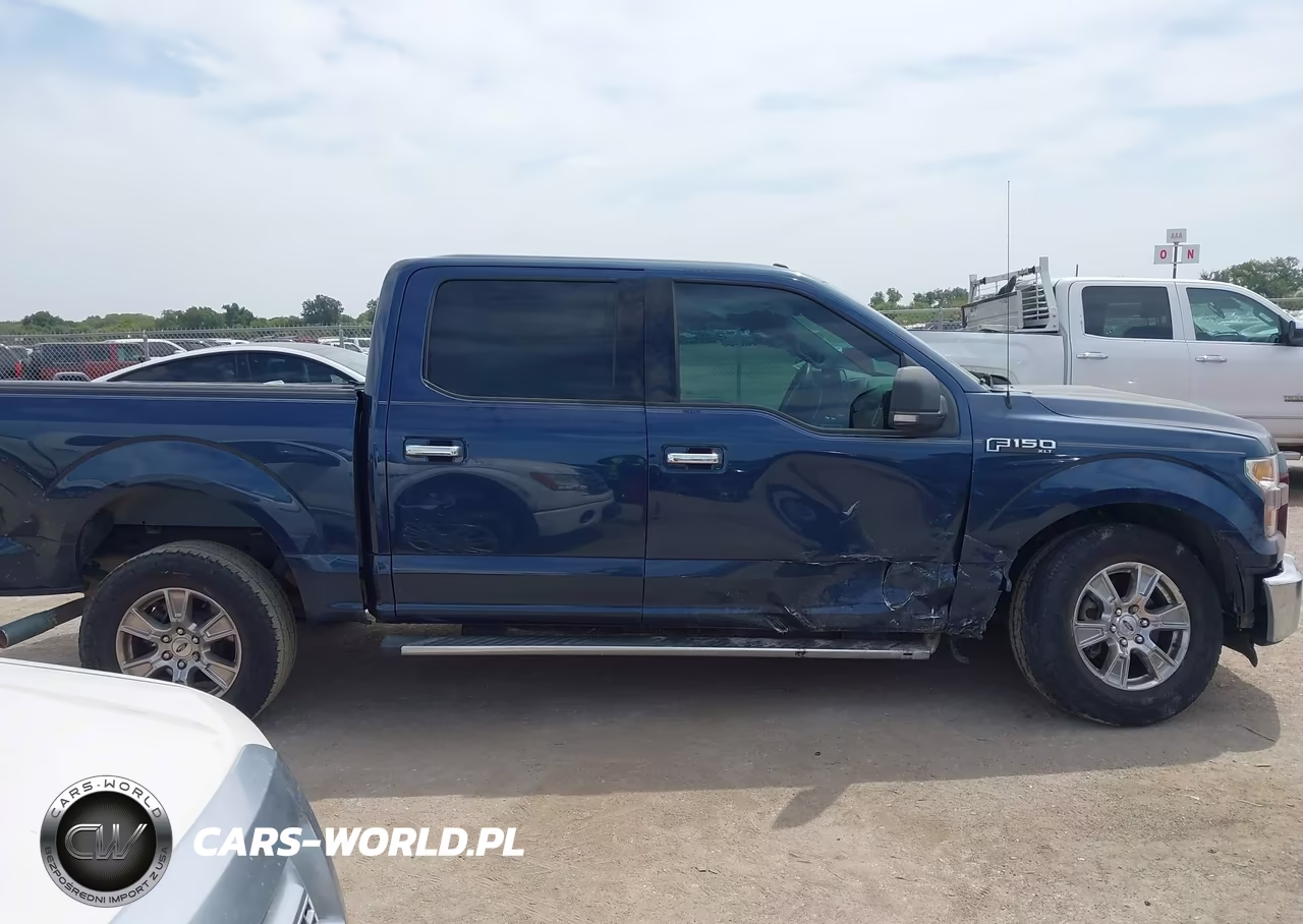 2015 Ford F-150 Xlt VIN:1FTEW1CF5FKD04464 - 13