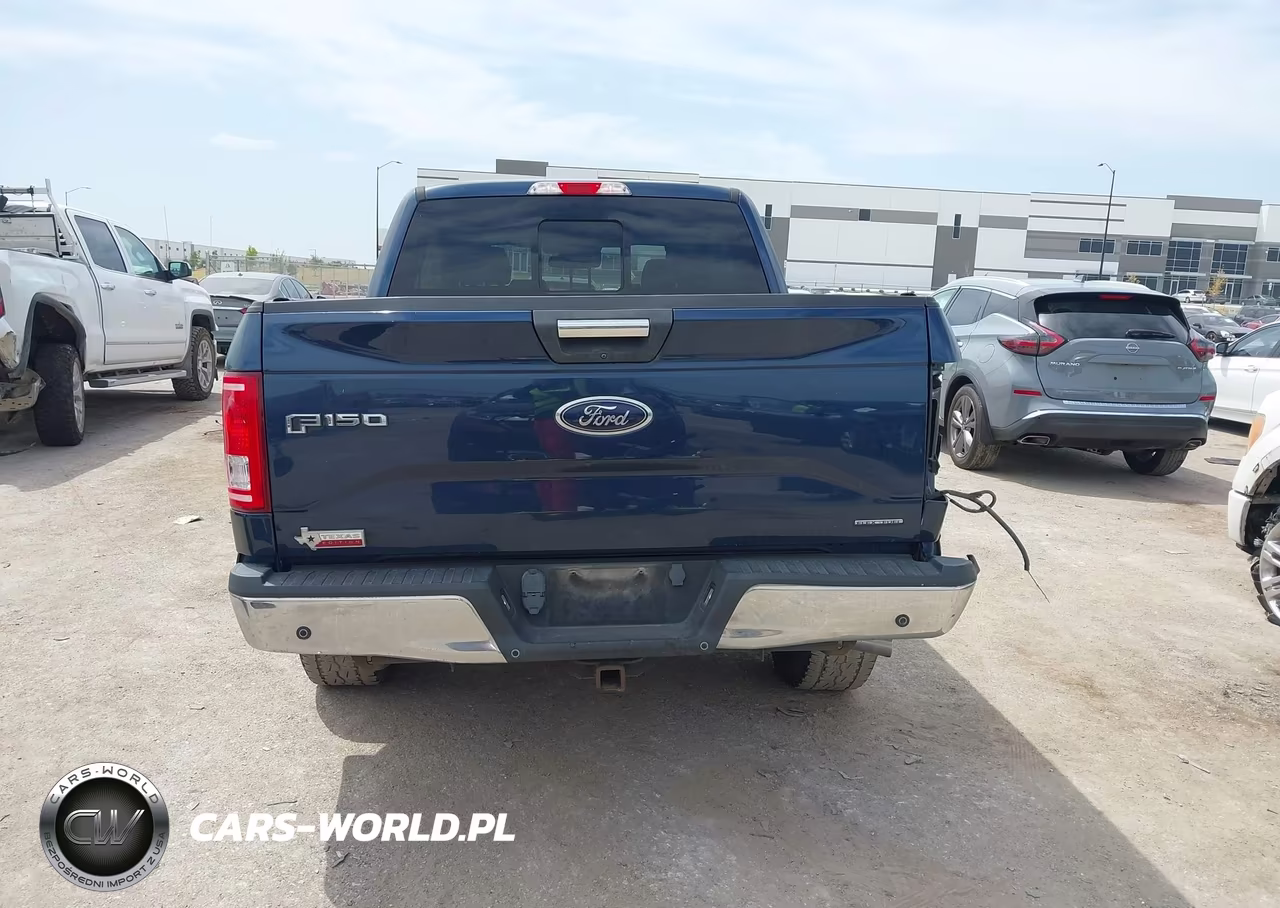 2015 Ford F-150 Xlt VIN:1FTEW1CF5FKD04464 - 16