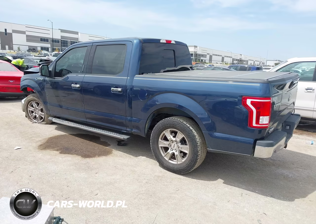 2015 Ford F-150 Xlt VIN:1FTEW1CF5FKD04464 - 3