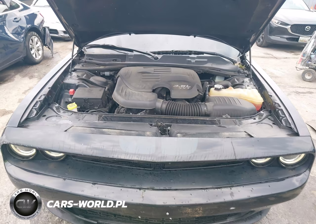 2016 Dodge Challenger Sxt VIN:2C3CDZAG5GH289887 - 10