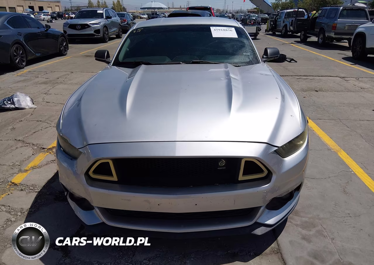 2015 Ford Mustang Ecoboost VIN:1FA6P8TH6F5339675 - 13