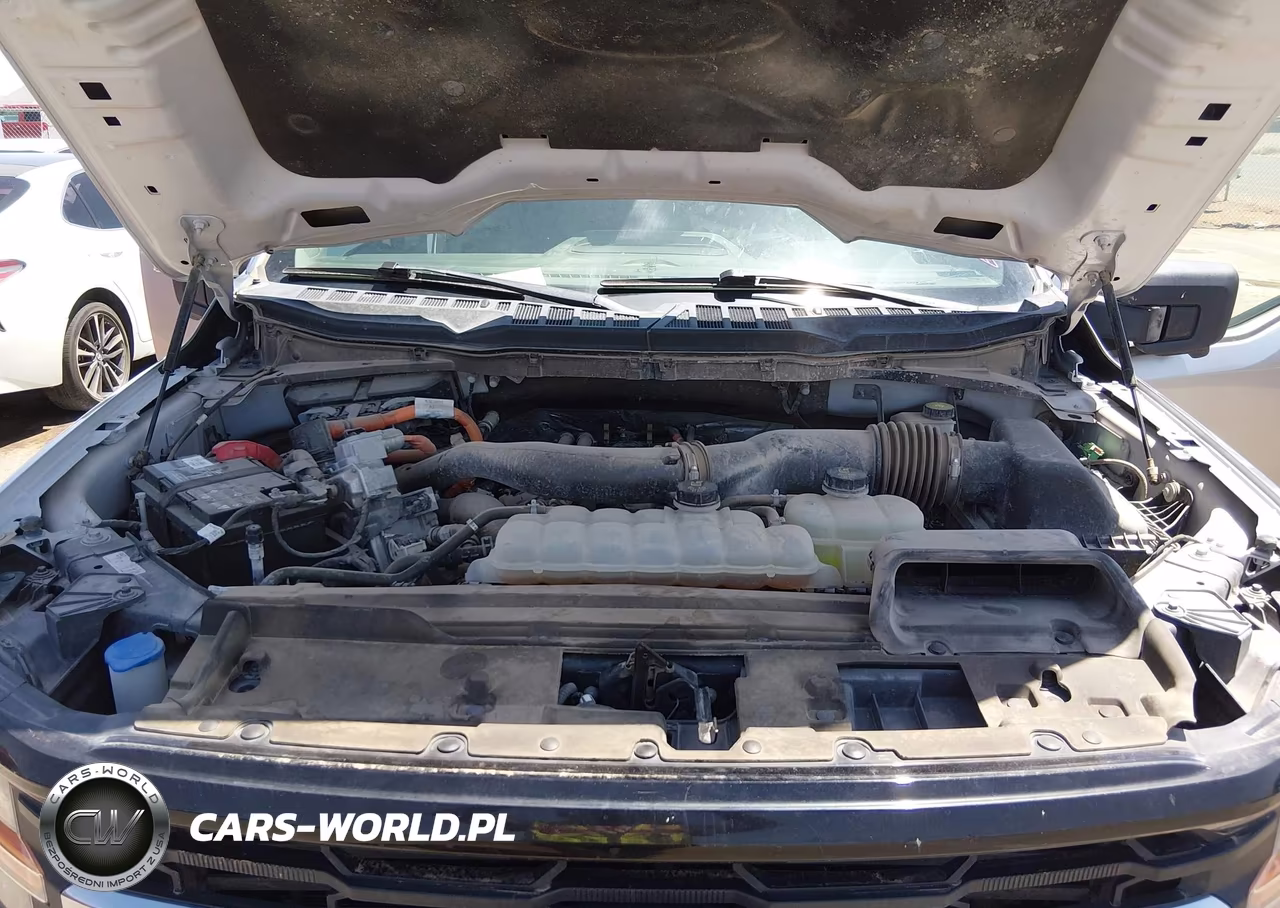 2024 Ford F-150 Xlt VIN:1FTFW3LD2RFA43824 - 10