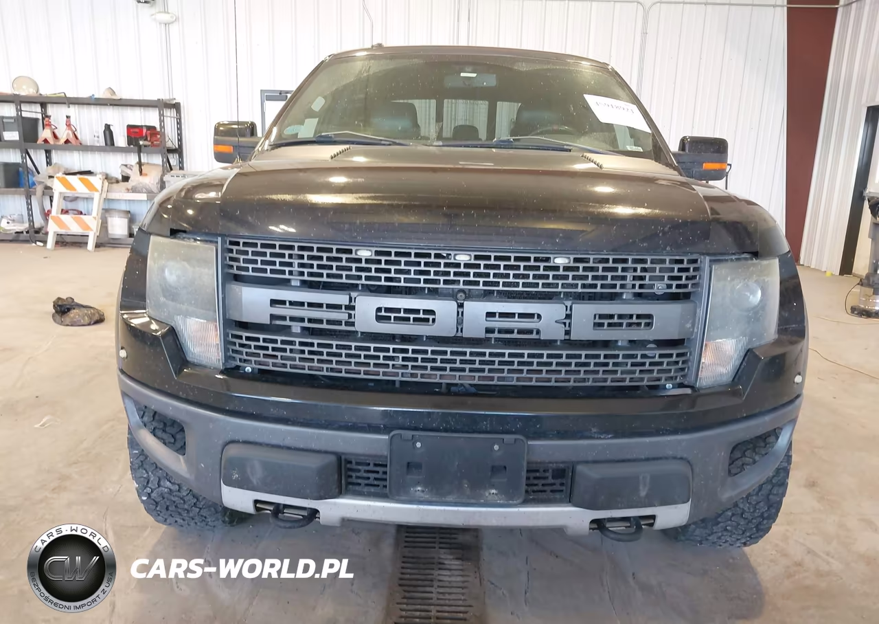 2013 Ford F-150 Svt Raptor VIN:1FTFW1R63DFA09705 - 12