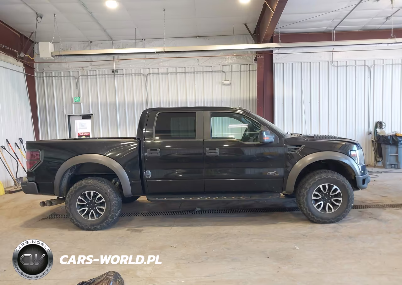 2013 Ford F-150 Svt Raptor VIN:1FTFW1R63DFA09705 - 13