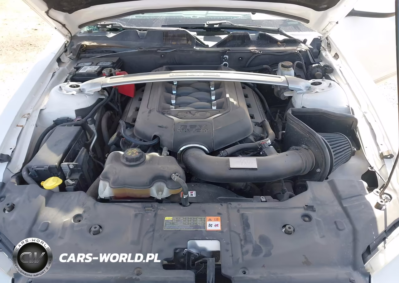2013 Ford Mustang Gt Premium VIN:1ZVBP8CF7D5215383 - 10