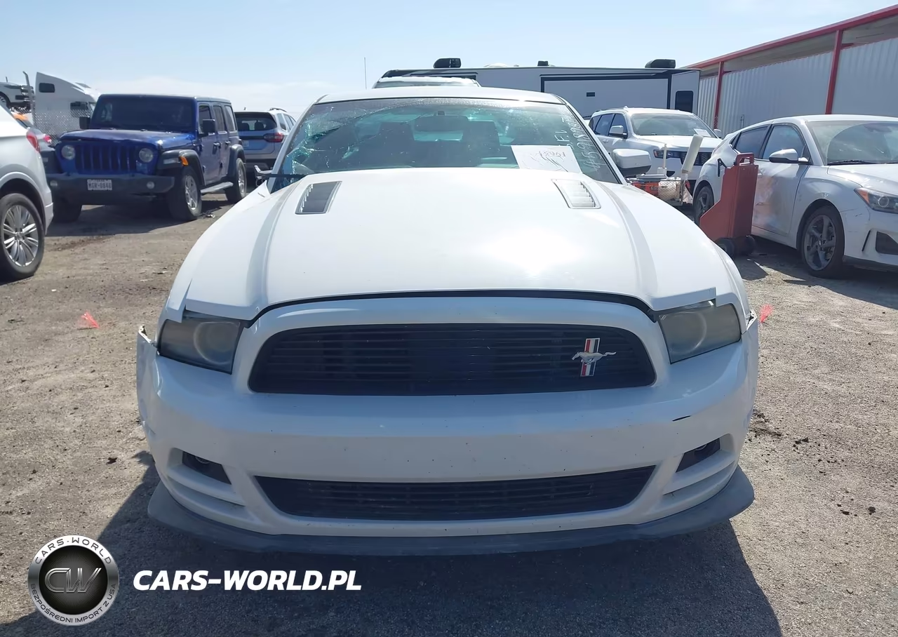 2013 Ford Mustang Gt Premium VIN:1ZVBP8CF7D5215383 - 12