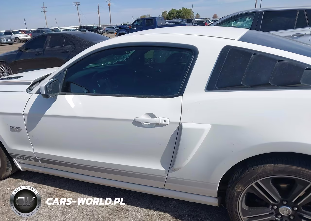 2013 Ford Mustang Gt Premium VIN:1ZVBP8CF7D5215383 - 14
