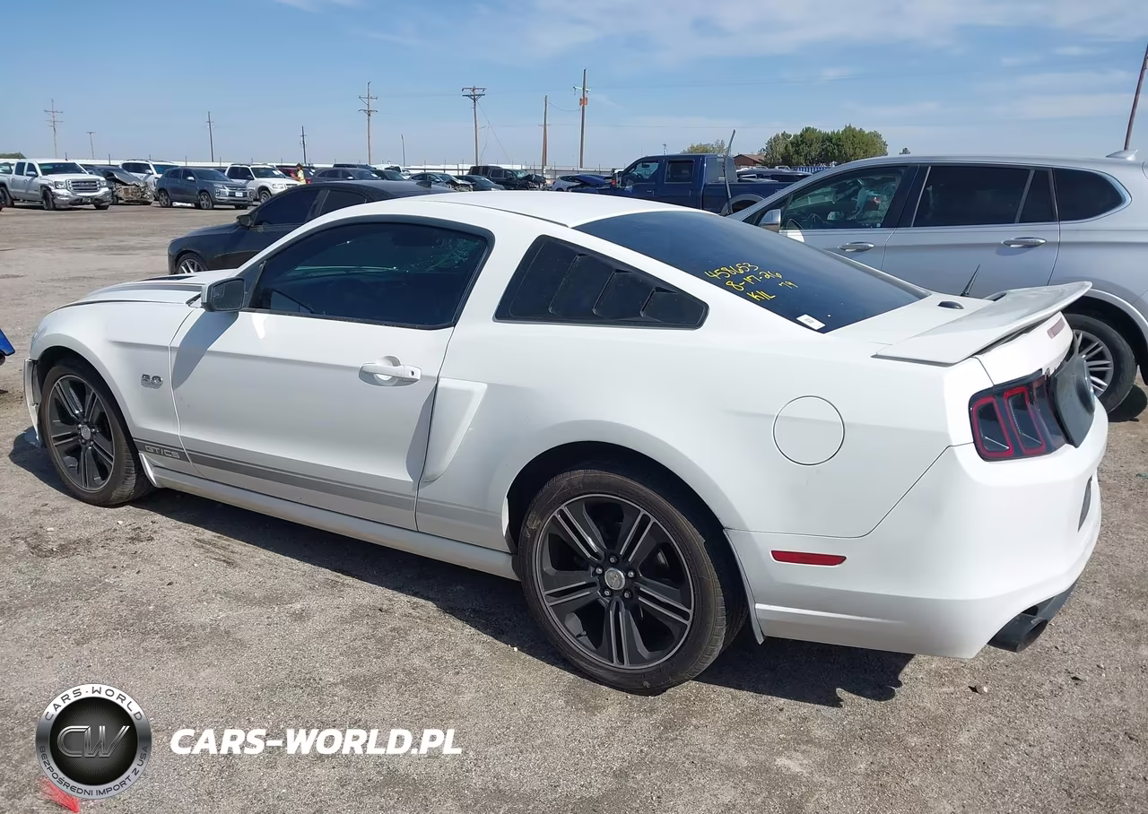 2013 Ford Mustang Gt Premium VIN:1ZVBP8CF7D5215383 - 3