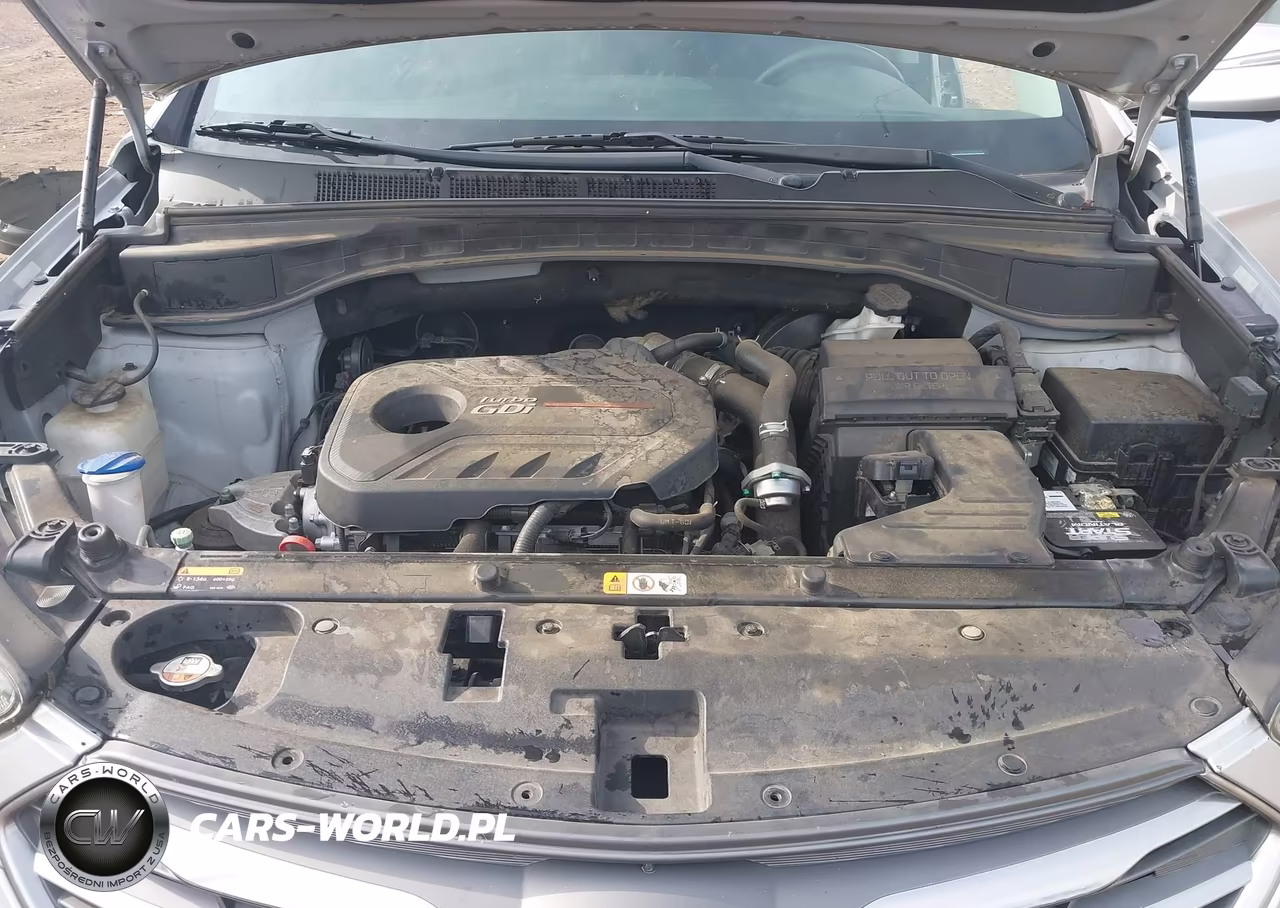 2017 Hyundai Santa Fe Sport 2.0T Ultimate VIN:5XYZW4LA5HG490166 - 10