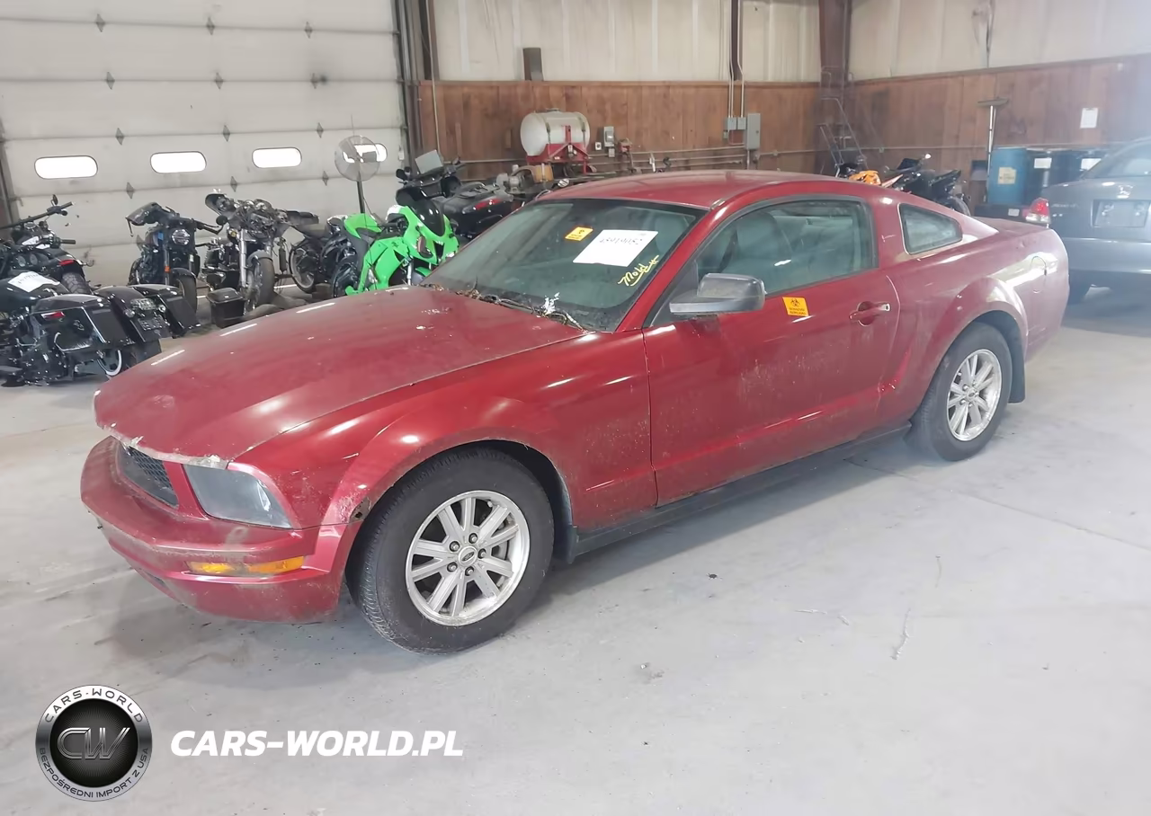 2006 Ford Mustang V6 VIN:1ZVFT80N965105611 - 2