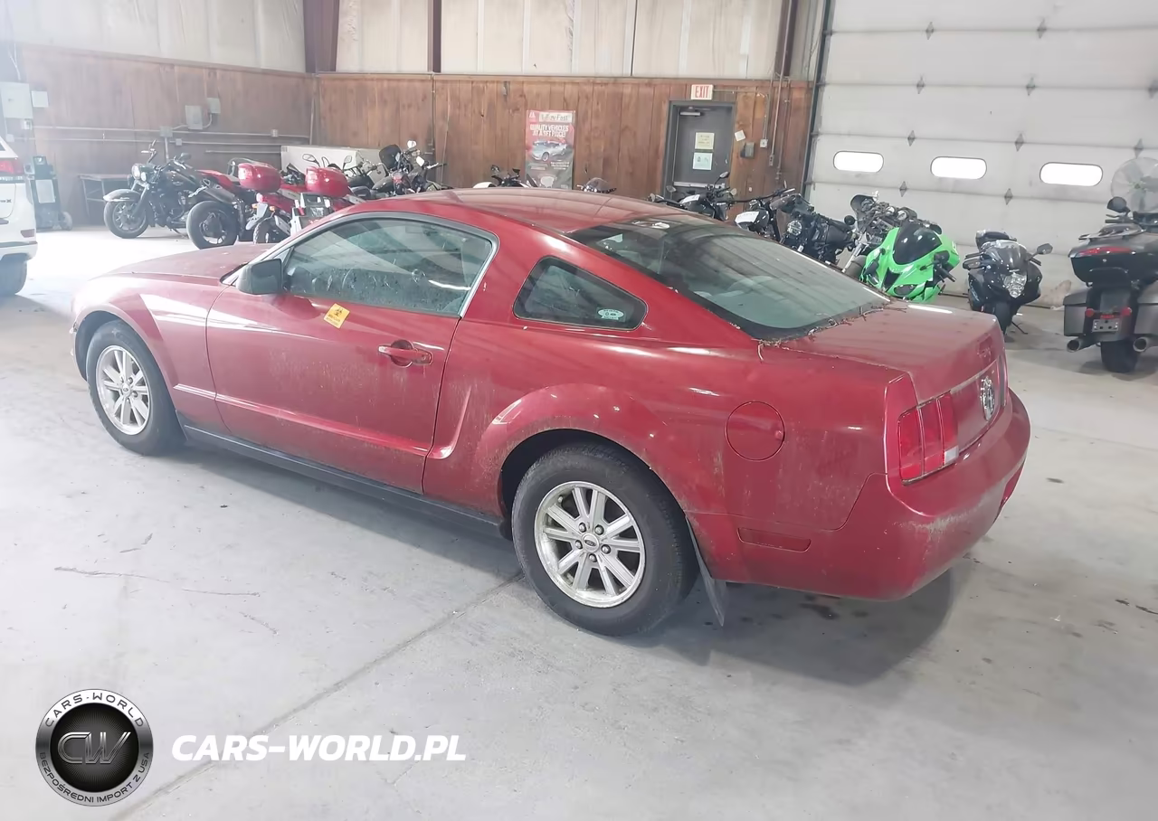 2006 Ford Mustang V6 VIN:1ZVFT80N965105611 - 3