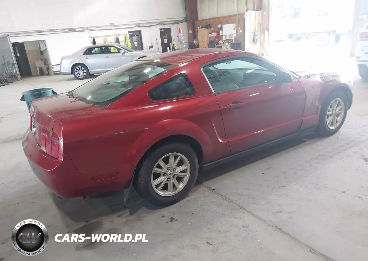 2006 Ford Mustang V6 VIN:1ZVFT80N965105611 - 4