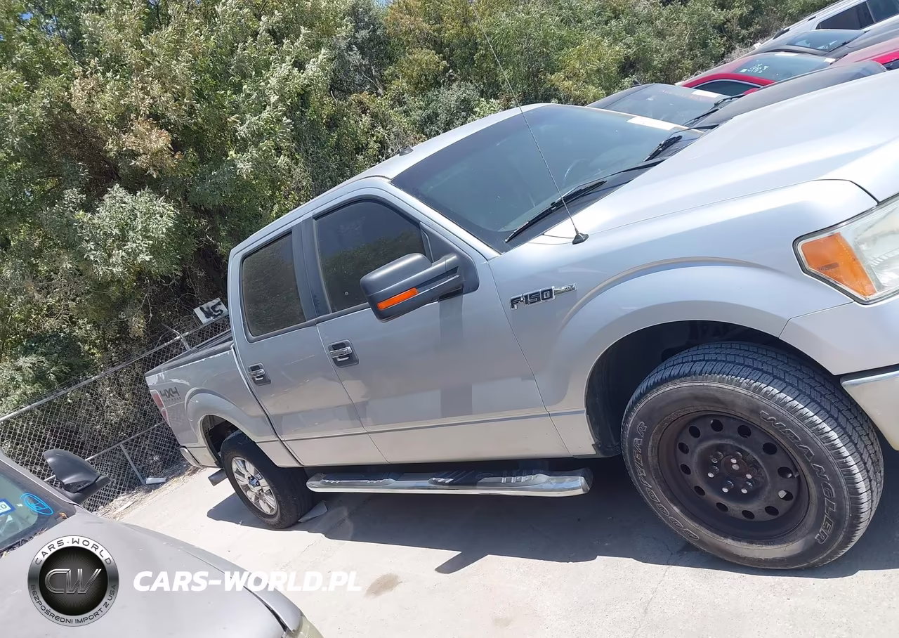 2012 Ford F-150 Xlt VIN:1FTFW1EF5CKD25263 - 13