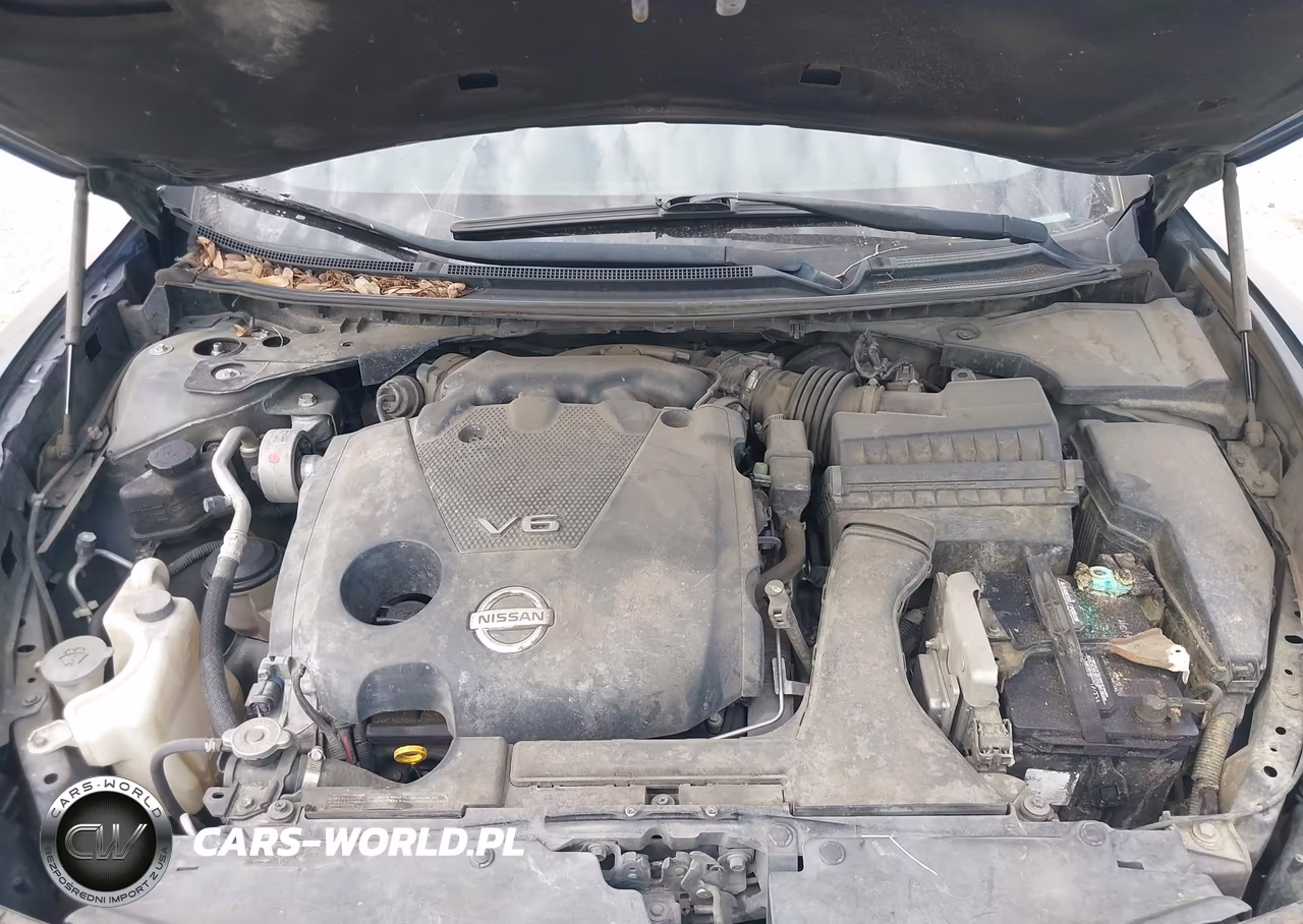 2013 Nissan Maxima 3.5 Sv VIN:1N4AA5AP8DC847305 - 10