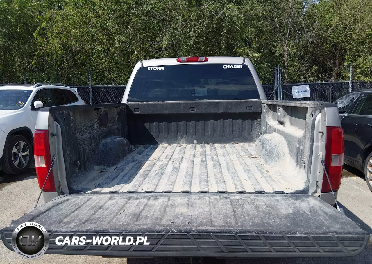 2009 Chevrolet Silverado 1500 Lt VIN:3GCEC23J09G118393 - 17