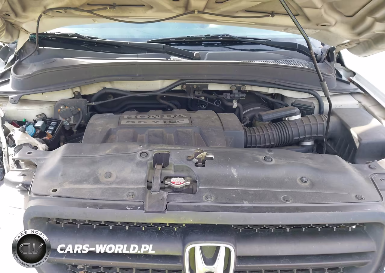 2005 Honda Pilot Ex-L VIN:5FNYF18565B007907 - 10