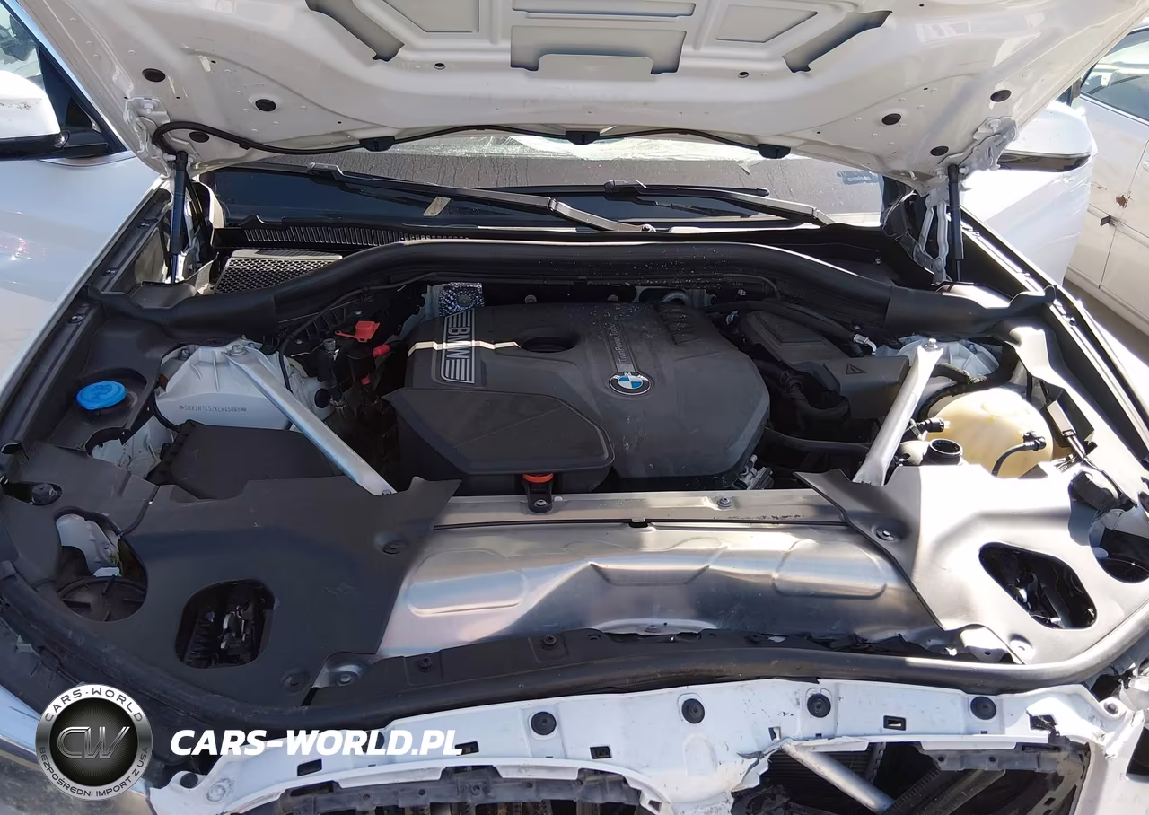 2019 BMW X3 Sdrive30I VIN:5UXTR7C52KLR45065 - 10
