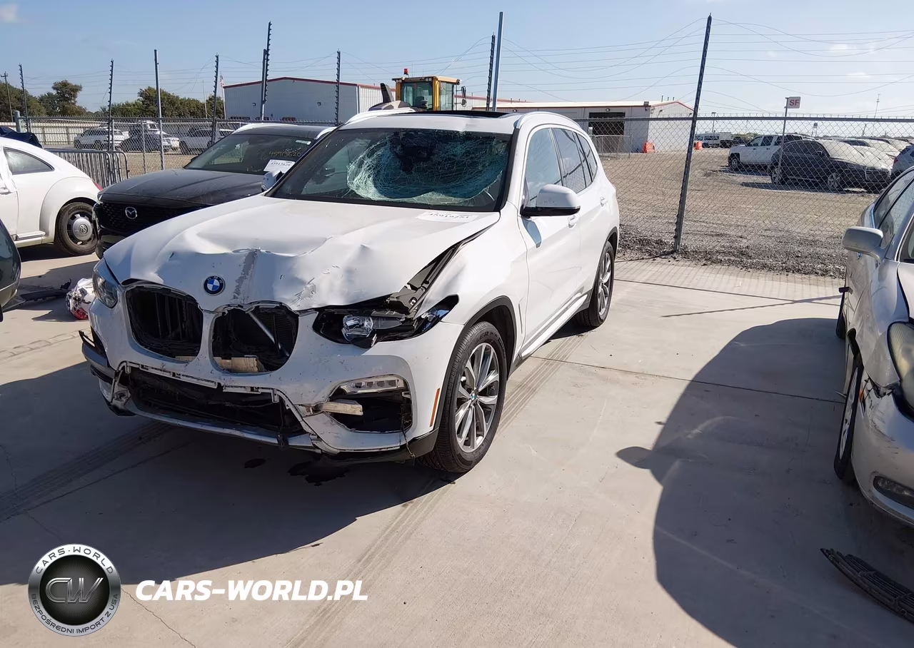 2019 BMW X3 Sdrive30I VIN:5UXTR7C52KLR45065 - 2