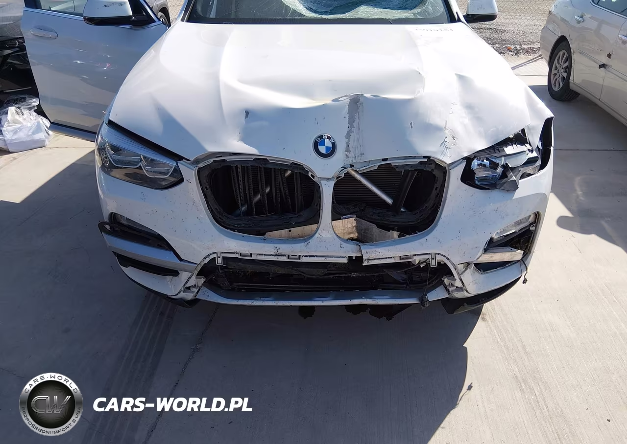 2019 BMW X3 Sdrive30I VIN:5UXTR7C52KLR45065 - 6