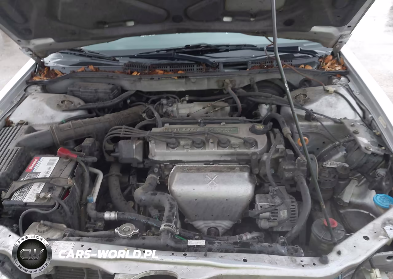 2001 Honda Accord 2.3 Lx VIN:1HGCG32641A019028 - 10
