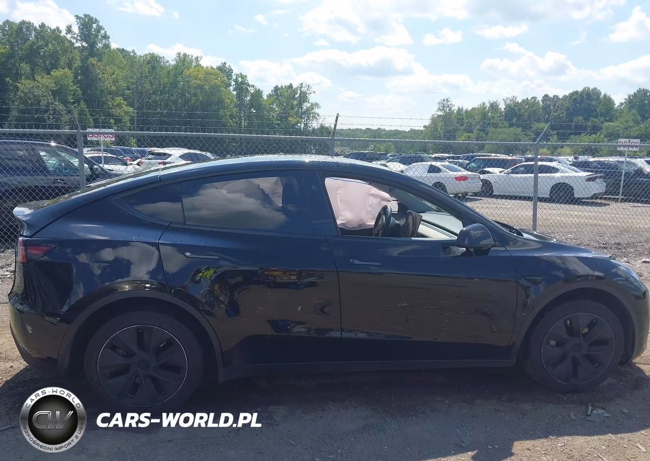 2025 Tesla Model Y Long Range Dual Motor All-Wheel Drive VIN:7SAYGDEE6SA340557 - 14
