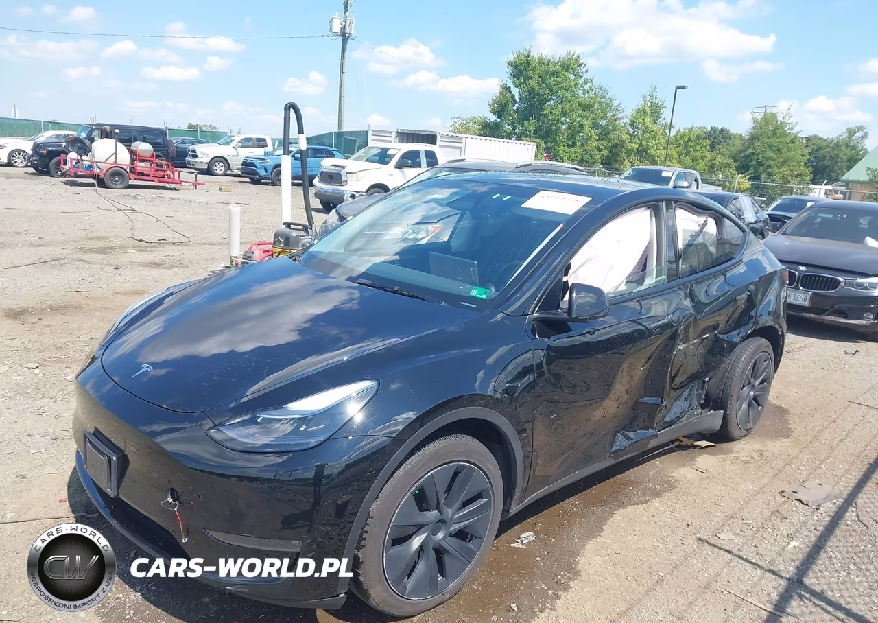 2025 Tesla Model Y Long Range Dual Motor All-Wheel Drive VIN:7SAYGDEE6SA340557 - 2