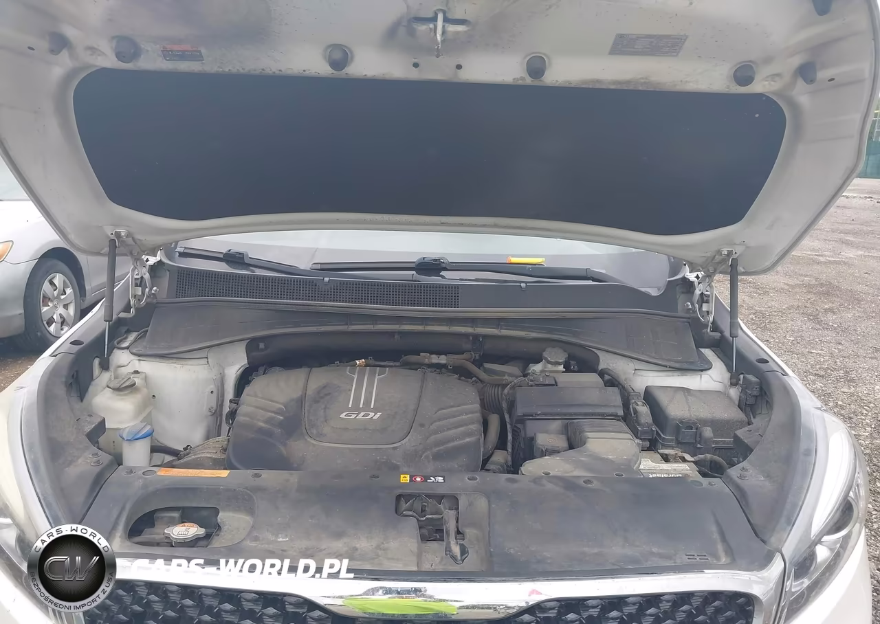 2016 Kia Sorento 3.3L Ex VIN:5XYPHDA55GG016918 - 10