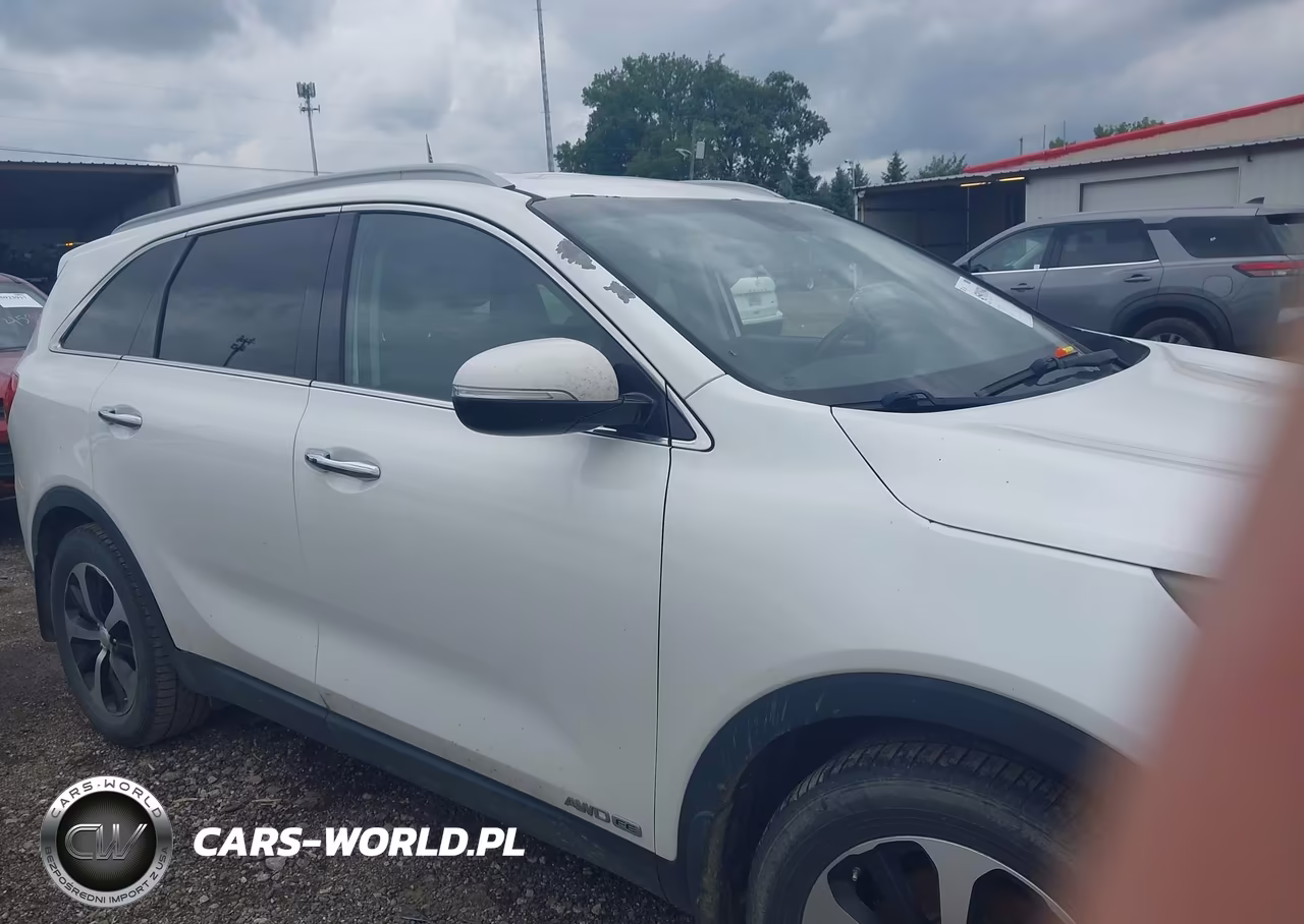 2016 Kia Sorento 3.3L Ex VIN:5XYPHDA55GG016918 - 13