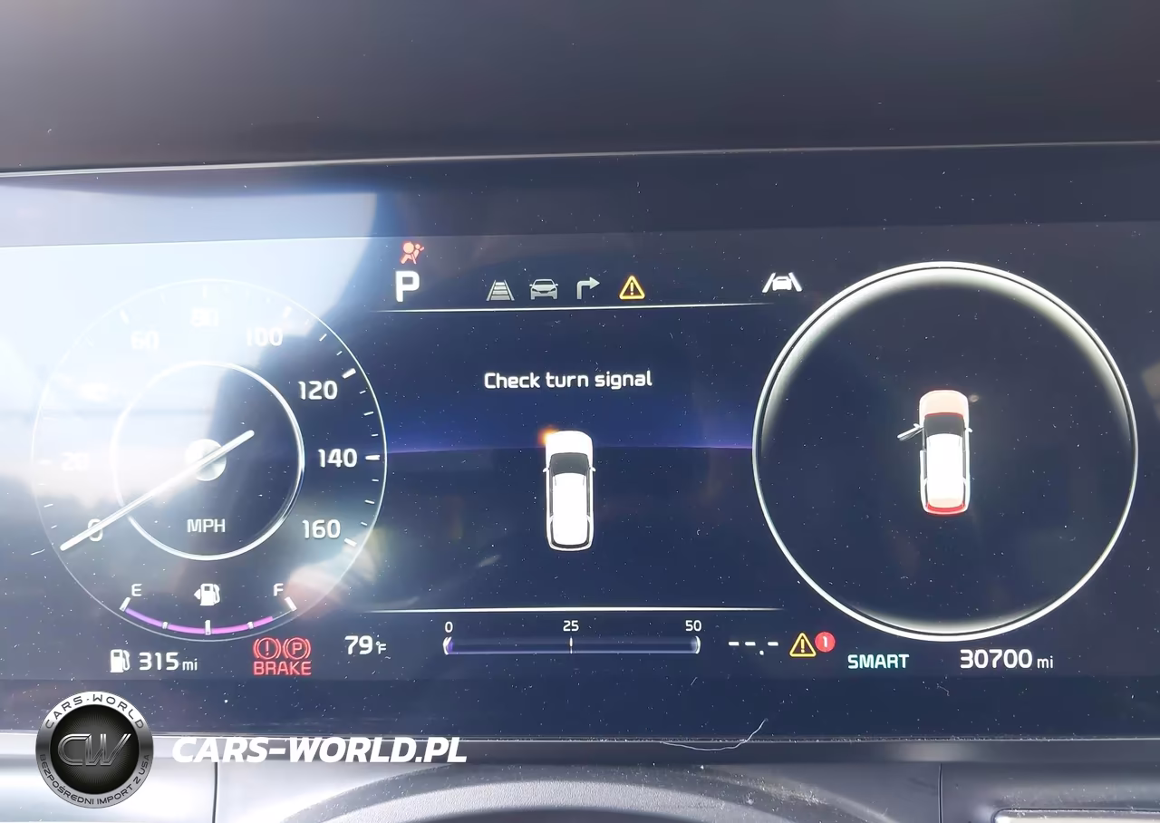 2024 Kia Carnival Mpv Sx Prestige VIN:KNDNE5H31R6352663 - 7