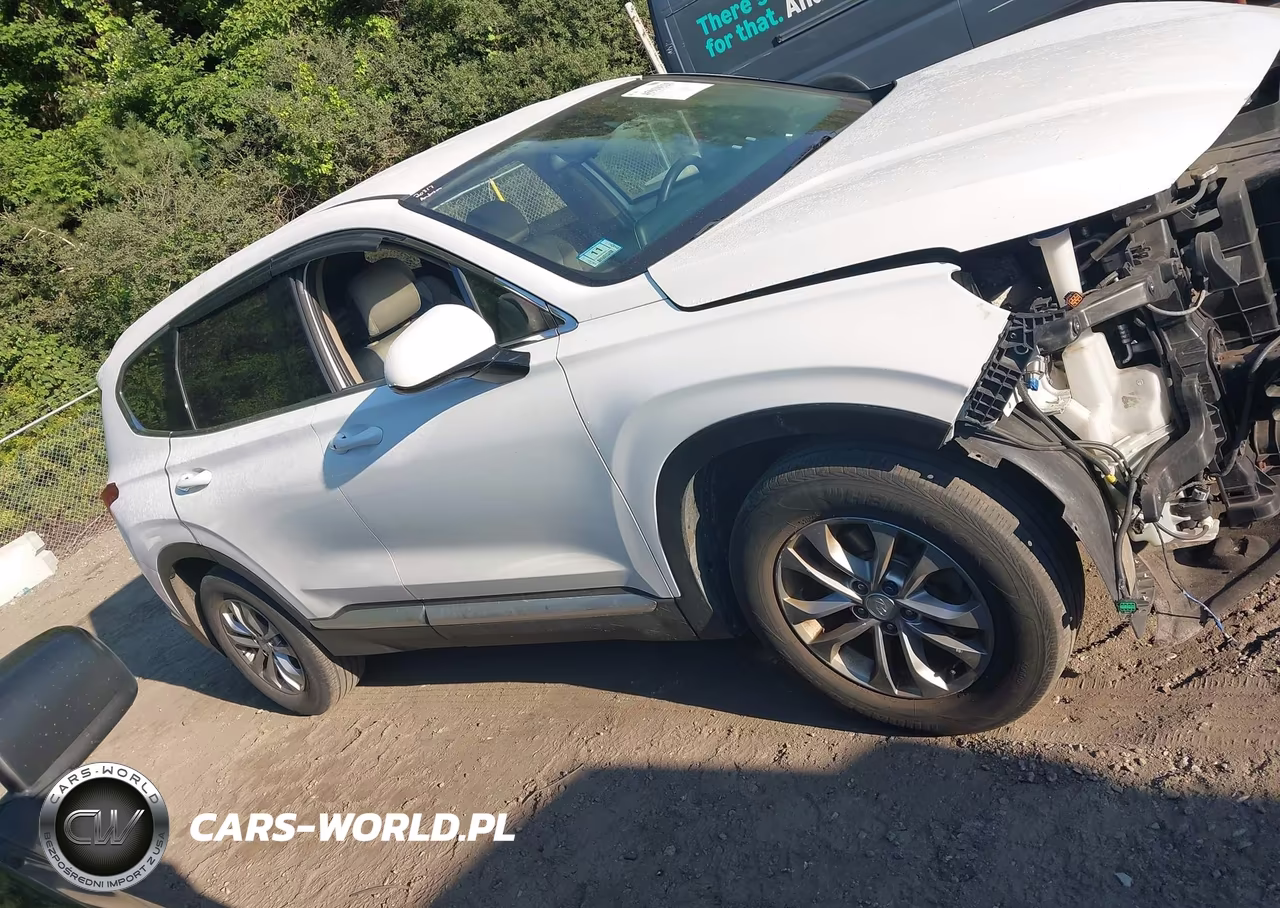 2019 Hyundai Santa Fe Sel VIN:5NMS3CAD5KH003742 - 12