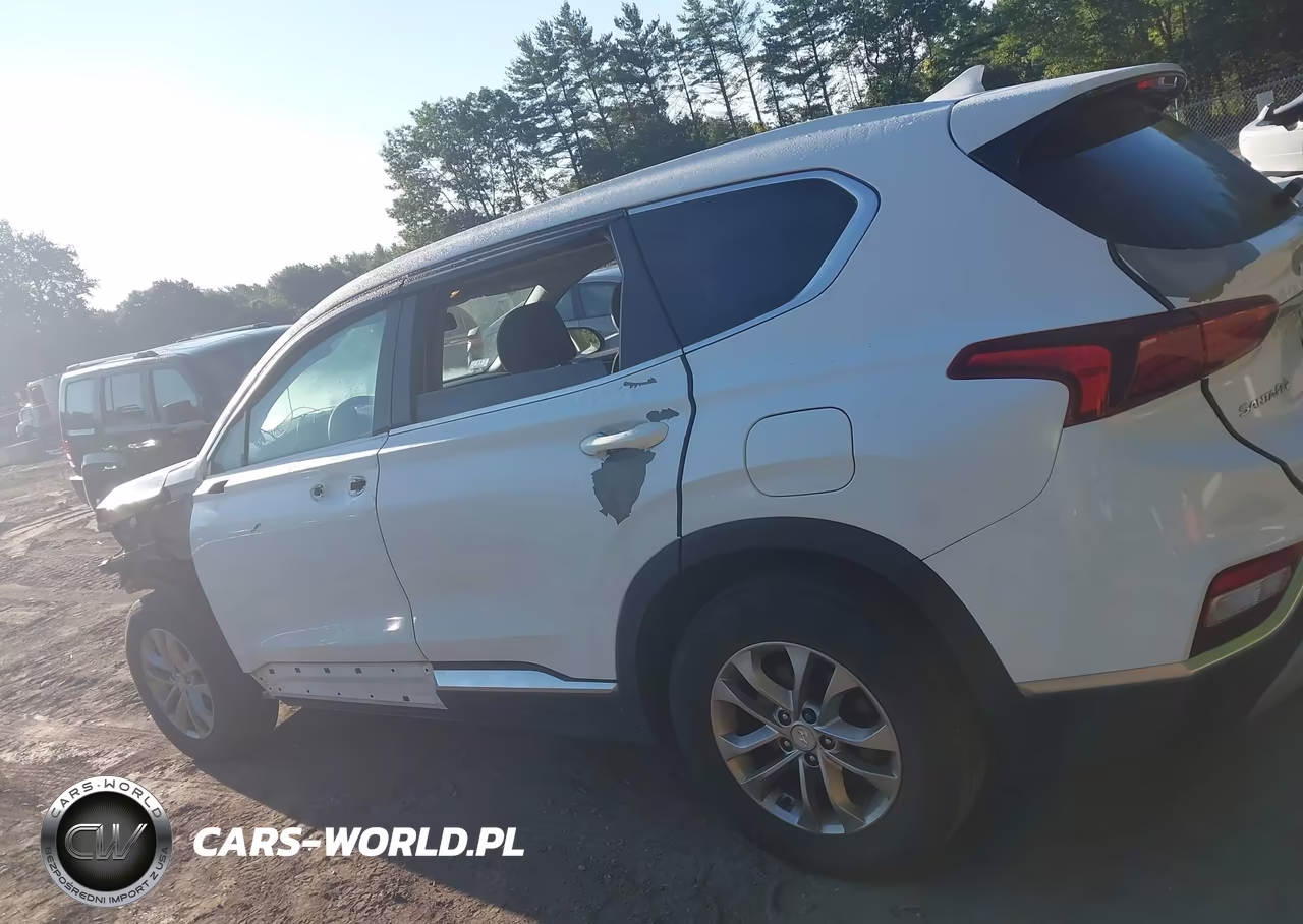 2019 Hyundai Santa Fe Sel VIN:5NMS3CAD5KH003742 - 13