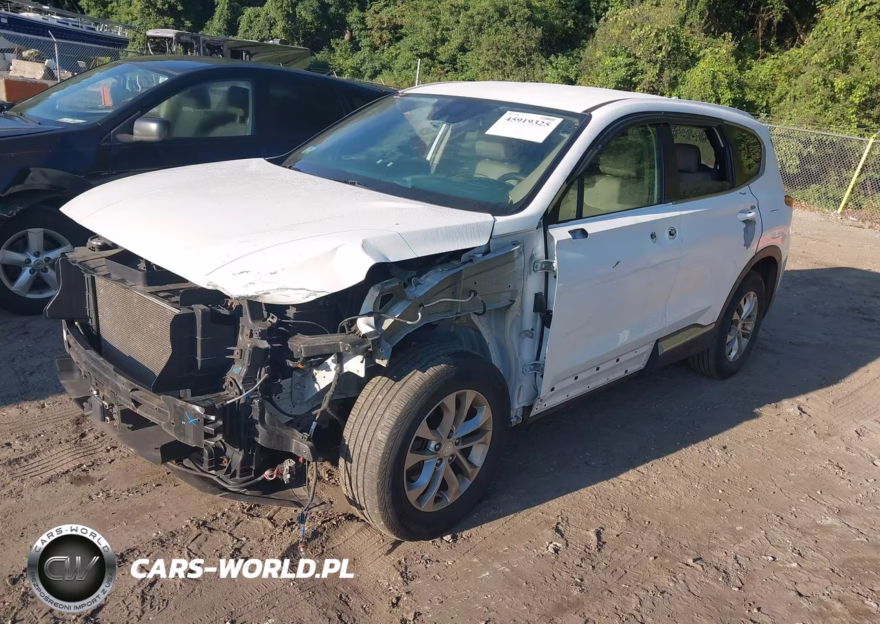 2019 Hyundai Santa Fe Sel VIN:5NMS3CAD5KH003742 - 2