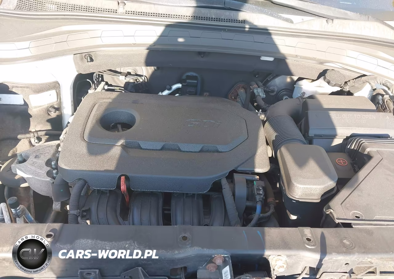 2019 Hyundai Santa Fe Sel VIN:5NMS3CAD5KH003742 - 9