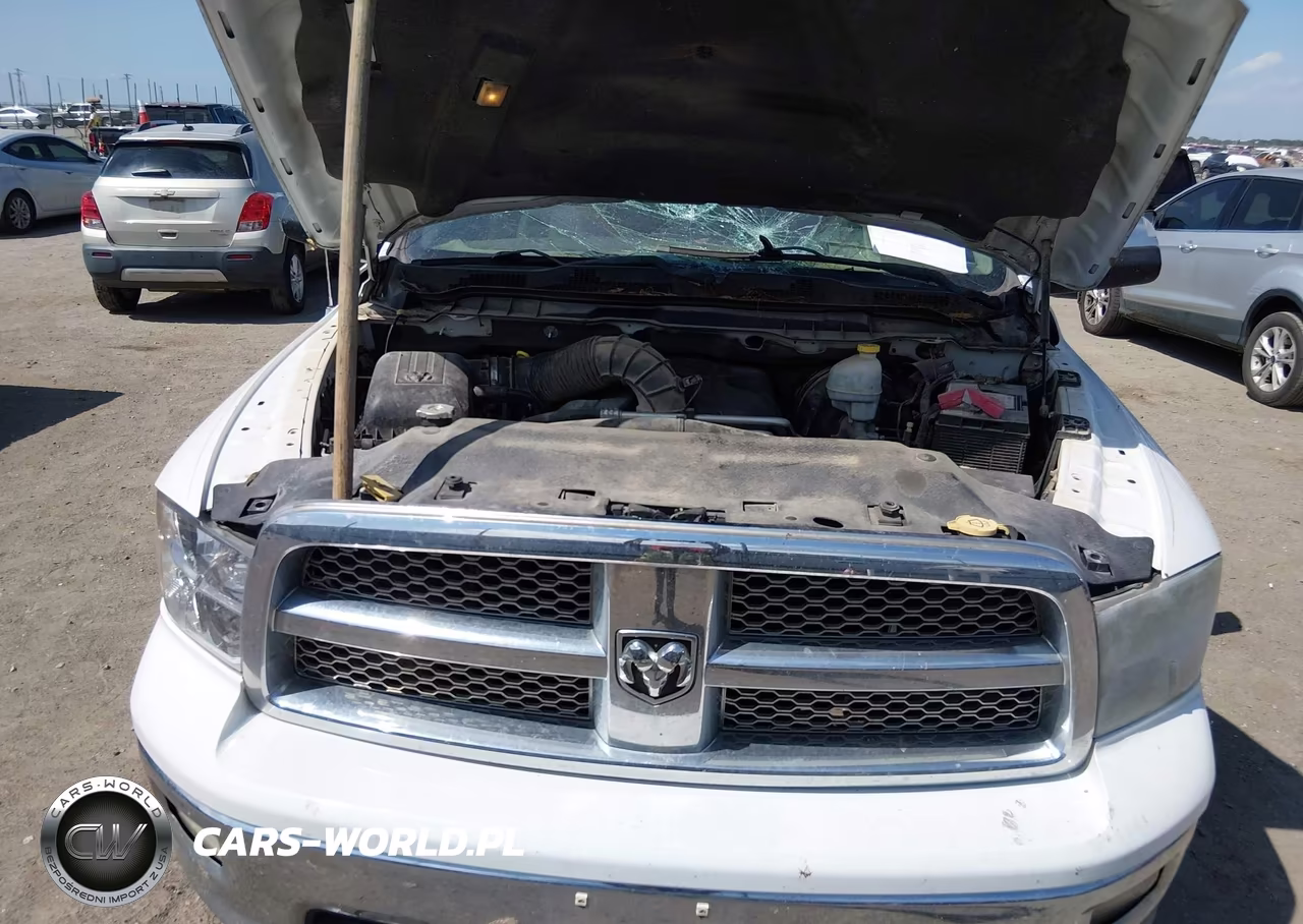 2011 Ram Ram 1500 Laramie VIN:1D7RV1CT4BS704882 - 10