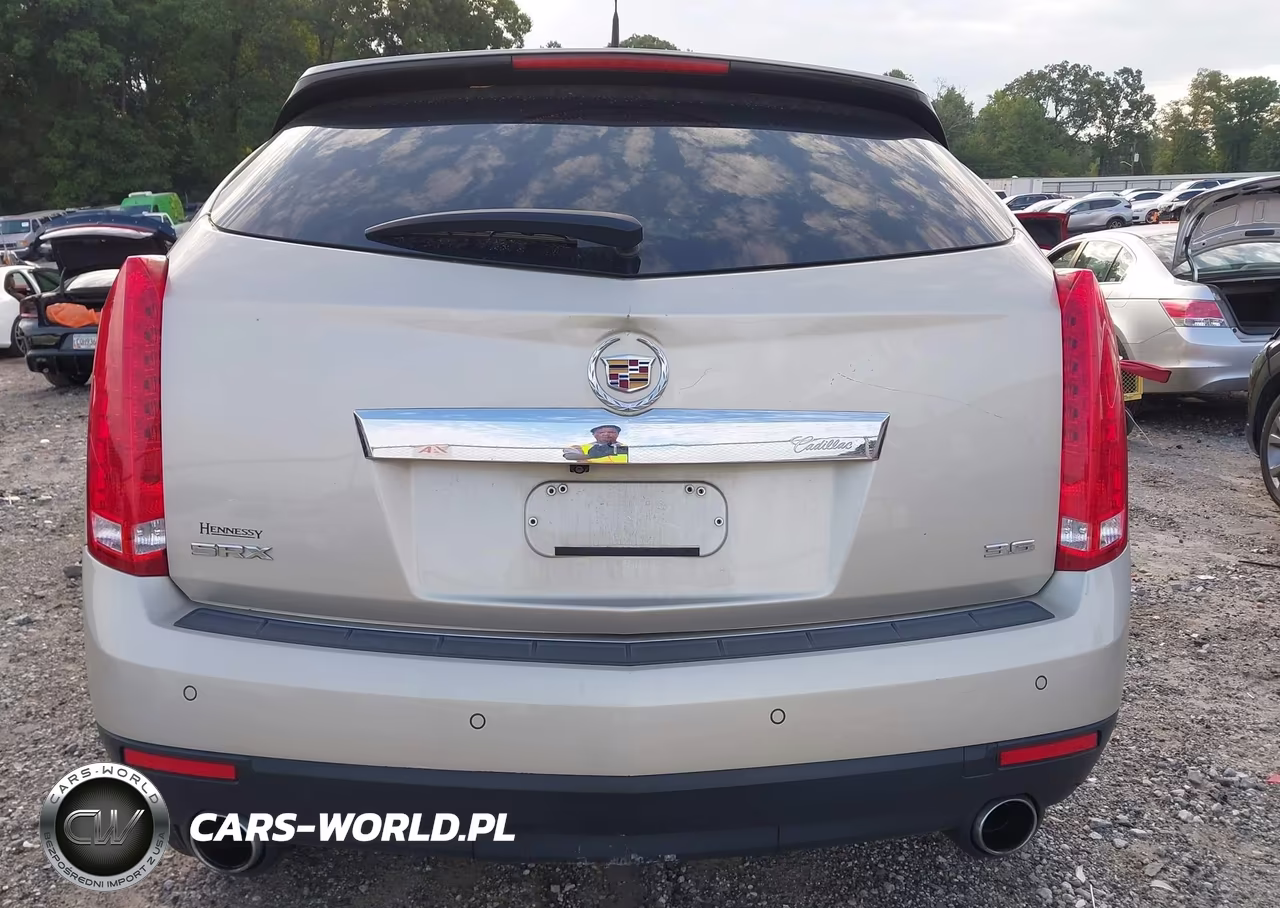 2013 Cadillac Srx Luxury Collection VIN:3GYFNCE34DS642455 - 16