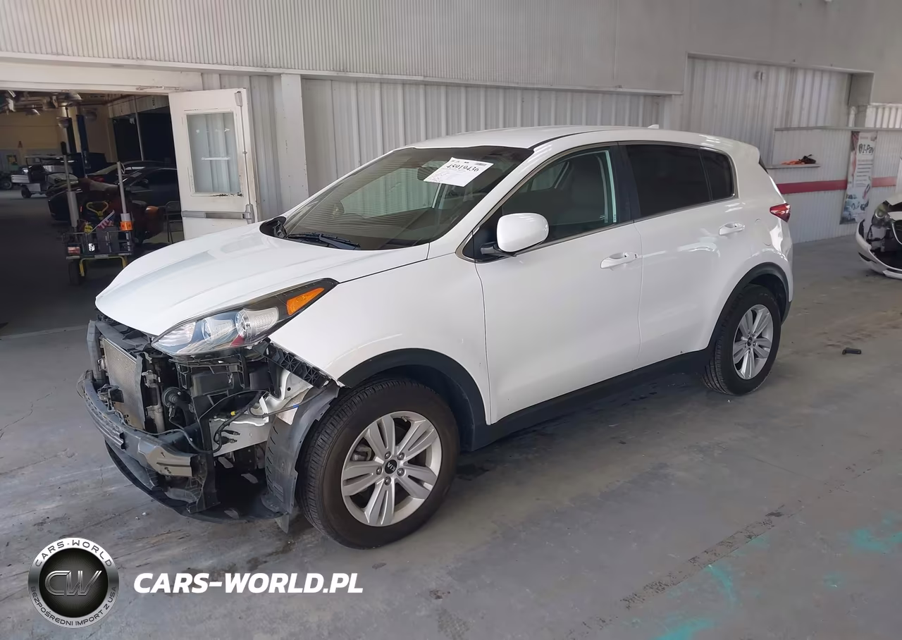 2019 Kia Sportage Lx VIN:KNDPM3AC7K7597137 - 2