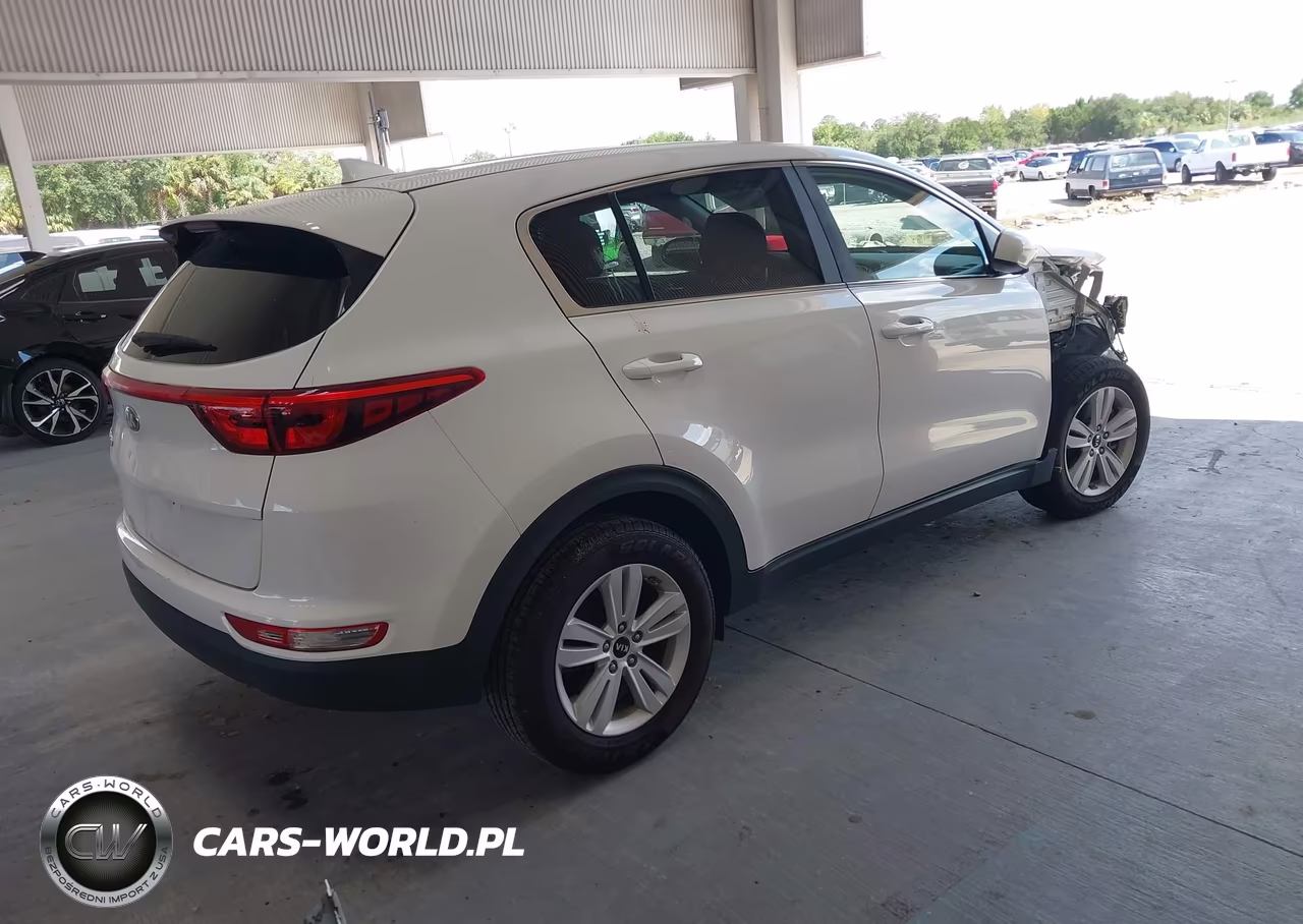 2019 Kia Sportage Lx VIN:KNDPM3AC7K7597137 - 4