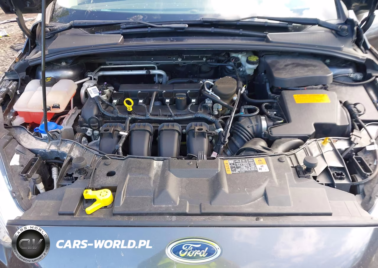 2015 Ford Focus Se VIN:1FADP3F29FL352062 - 10